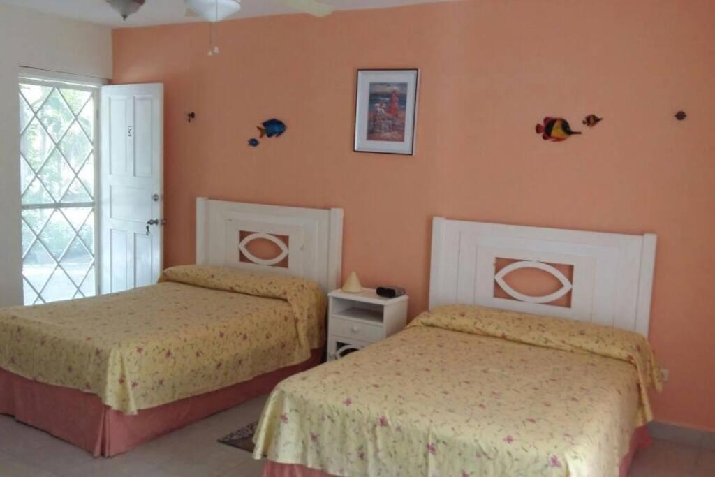 Marysol Beachfront Next To Nomads D6 Isla Mujeres Exterior photo